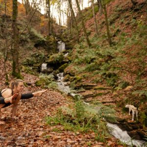 Yoga and vegan food week end in the north Yorkshire Moors