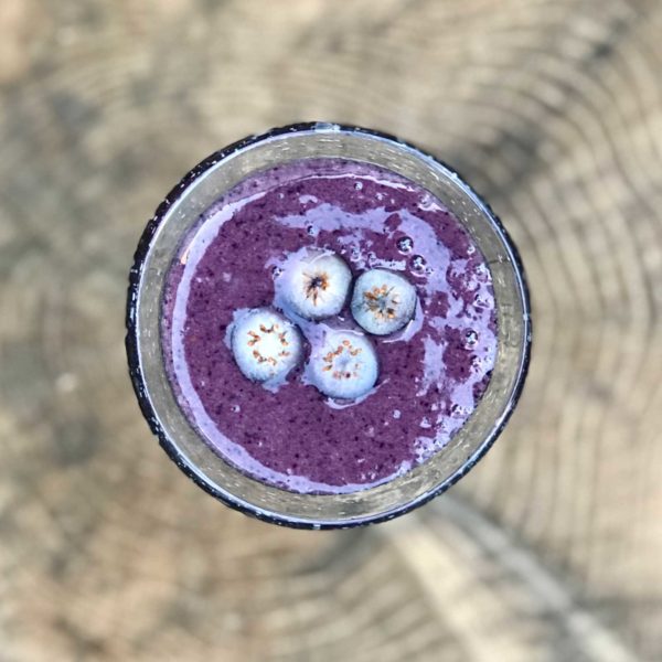 Pack Smoothies - Water Kefir - Irish moss